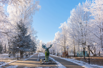 Приход Зимы всегда необычаен... / 01-12-2022.