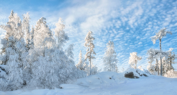 Морозная зима / Уральская природа
