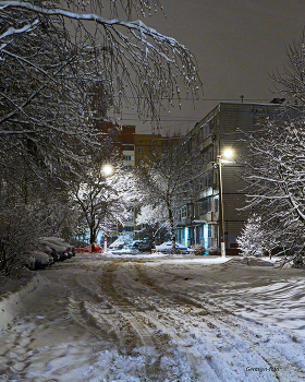 Снегопад / Раннее утро после снегопада