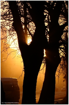 Жара / Новосибирск