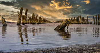 На озере Сасык-Сиваш / Крым. Саки. Прибрежное