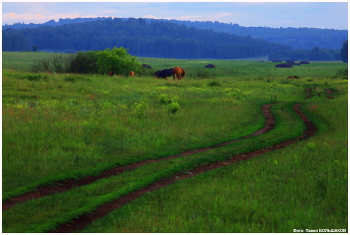 Подражание живописи / Деревня Маслово летом