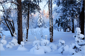 Младшая группа на прогулке / Сибирь