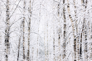 &nbsp; / Белым бело :)