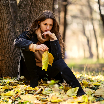 из альбома &quot;логика листьев&quot;. / из фотосессии