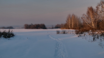 **Морозным днём.* / Томская область.