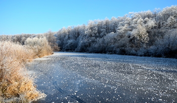 По первому льду. / Предзимье. Озеро Рожок.