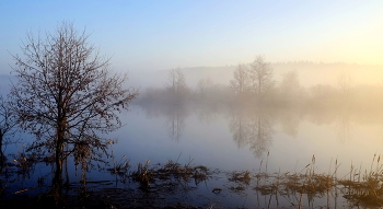 Весенний туман. / Озеро Сосновое.