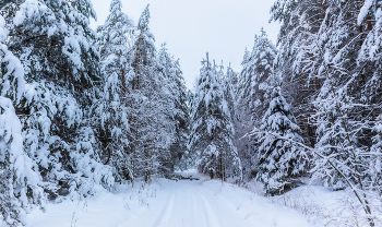 Зимними дорогами 2. / ...