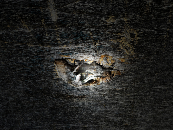 &nbsp; / Abstraktion