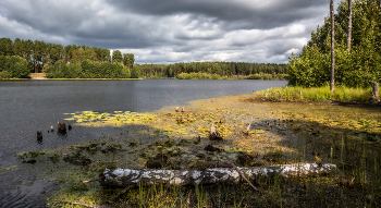 Частица ушедшего лета. / ...