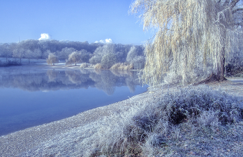 Серебрянные ивы и берега / ***