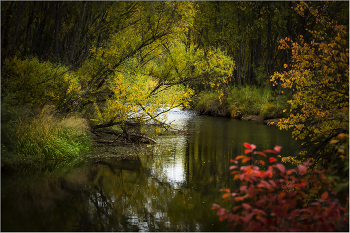 У реки / р. Ушаковка. Иркутск.