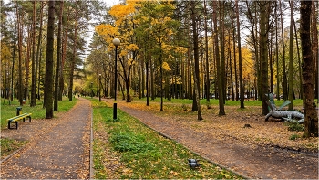 В парке / В парке Новополоцка