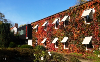 Гамбург. Парк Ениша / Английский парк с великолепным ландшафтом, старыми деревьями, изящным домиком у каменных ворот, просторами газонов с полевыми травами, домом-музеем Ениш (сенатор Ениш построил его в 1834 году для своей семьи), привлекает жителей города для прогулок и отдыха.

Слайд-шоу парка Ениша:

https://www.youtube.com/watch?v=ugU8TQbq7Gc

https://www.youtube.com/watch?v=8IsBm8VNvbo