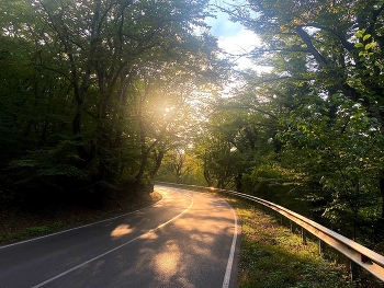 В светлое будущее. / По дороге домой.
