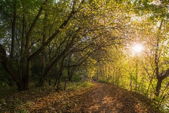 &nbsp; / п.Щербаковка,пригород Казани