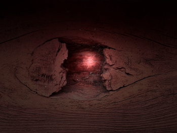 &nbsp; / In the dark