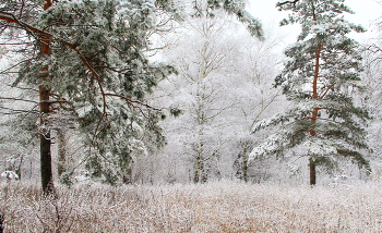 Зимний пейзаж! / Природа зимой.