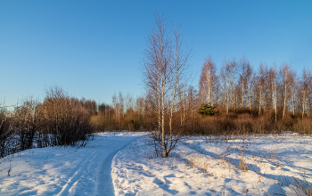 Утро 02 января 2023 года # 02 / 02.01.2023 Восточное Подмосковье, Дрезна ....