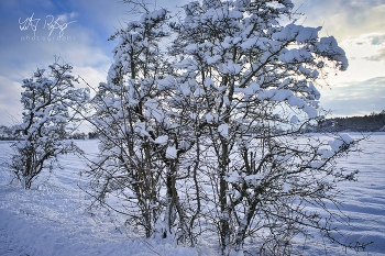 &nbsp; / Landschaft im Schnee