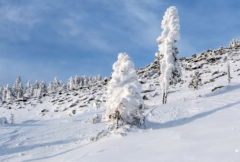 Снежная парочка / Жители горы Аргыждек