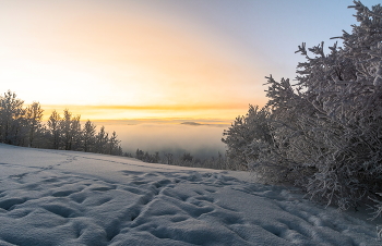 через три дня закончится полярная ночь / солнце за горизонтом