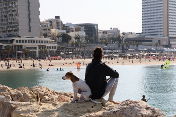 Пляж в Тель-Авив / ***