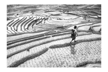Рис, Люди и Образы Вьетнама / &quot;Rice&amp;Icon of Vietnam&quot; B&amp;W art photo project
