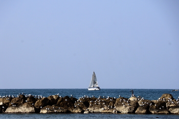 Средиземное море. Тель-Авив / ***
