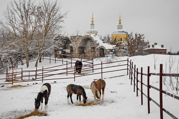 Городское глухозимье / Сюжет из старого города Серпухов