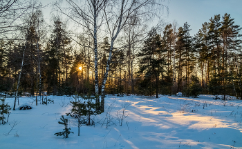 Мороз и Солнце Января # 04 / 07.01.2023 Восточное Подмосковье, Дрезна (Мороз - 25°C )