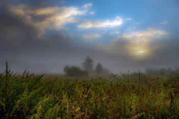 &nbsp; / Утро в августе