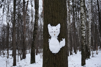 Год Кота - Красота / Год Кота - Красота