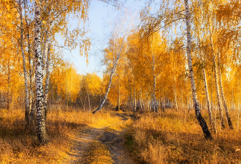 В березовой роще / https://www.youtube.com/watch?v=jKKoVNjEBVw&list=LL&index=1