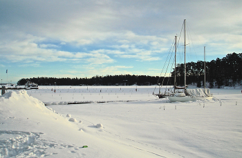 Январским днём / На зимовке.
Финляндия, Хельсинки, Вуосари.