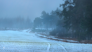Зимний туман / Потеплело. Земля дышит влагой.
Красненский район. Декабрь, 2022 года.
Из фотопроекта &quot;Земля Белгородская».