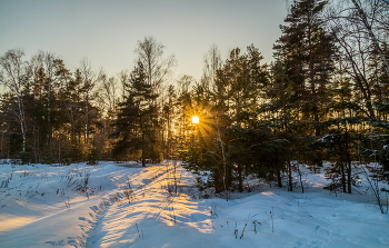 Мороз и Солнце Января # 05 / 07.01.2023 Восточное Подмосковье, Дрезна (Мороз - 25°C )