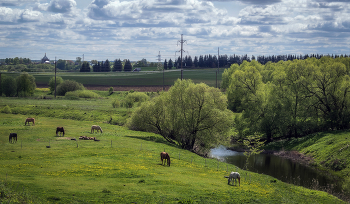 Провинция / ***
