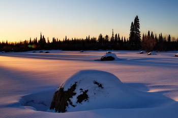 На закате. / Томская область.