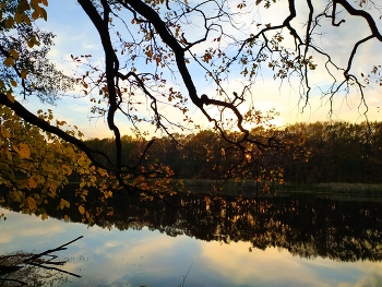 Осенние мотивы / Осень