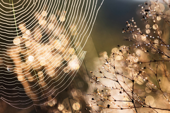 Осень настала / ***