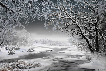 29 января / 29 января