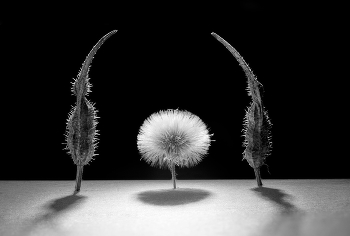 Третий должен уйти... / Третий должен уйти...