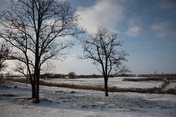 Зима... / Зима, снег,голые деревья, поле,небо,облака