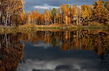 Загляделась роща золотая в зеркало знакомого пруда / Неожиданный закат в хмурый вечер