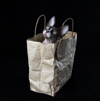 Подарок:) / Подарок:)