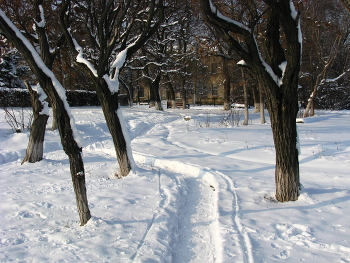 Снежной тропой... / Нанесло снега, тропа