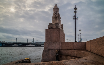 Ноябрь 2021 в Санкт-Петербурге / 20 ноября 2021. Сфинкс на Университетской набережной в Санкт-Петербурге