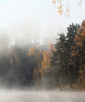 Утром туманным......... / Петербург-Юкки. Октябрь